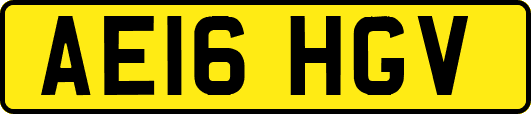 AE16HGV
