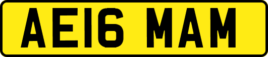 AE16MAM