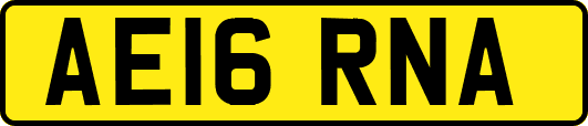 AE16RNA
