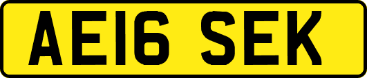 AE16SEK