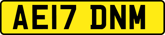 AE17DNM