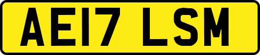 AE17LSM