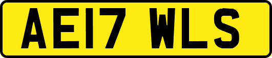 AE17WLS