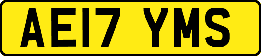 AE17YMS