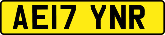 AE17YNR