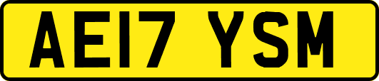 AE17YSM