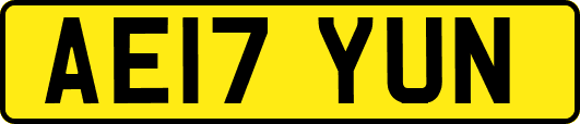 AE17YUN