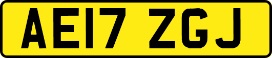 AE17ZGJ