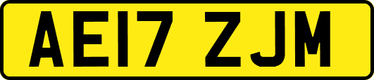 AE17ZJM