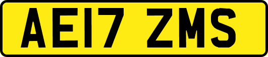 AE17ZMS