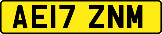 AE17ZNM