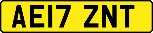 AE17ZNT