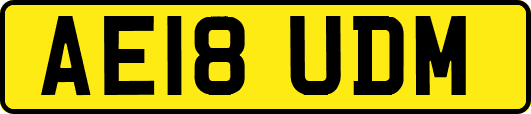 AE18UDM