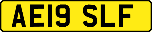 AE19SLF