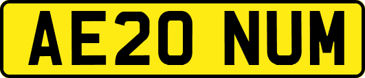 AE20NUM