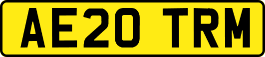 AE20TRM