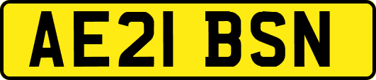 AE21BSN