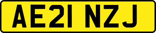 AE21NZJ