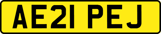 AE21PEJ