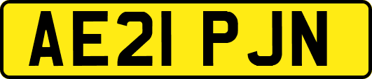 AE21PJN