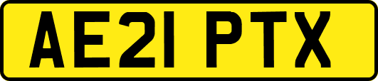 AE21PTX