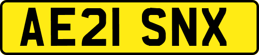 AE21SNX