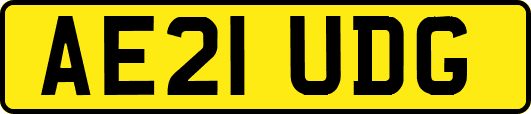 AE21UDG