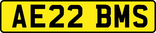 AE22BMS
