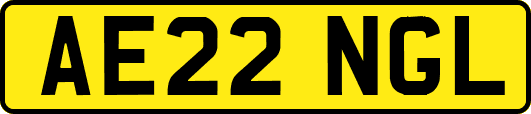 AE22NGL