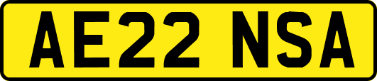AE22NSA
