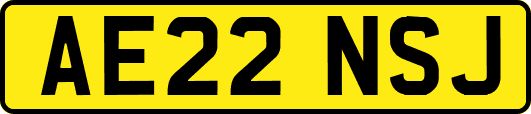 AE22NSJ