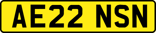 AE22NSN