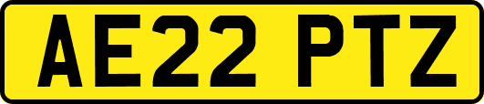 AE22PTZ