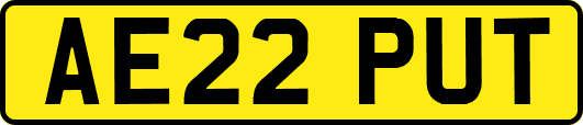 AE22PUT