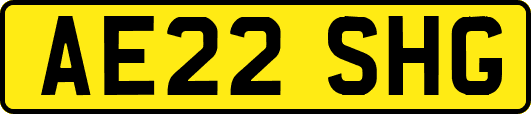 AE22SHG