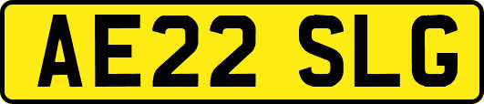 AE22SLG