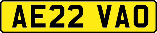AE22VAO