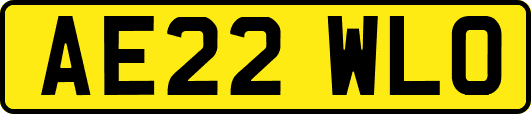 AE22WLO