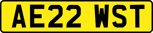 AE22WST