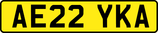 AE22YKA