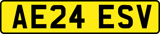 AE24ESV