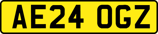 AE24OGZ