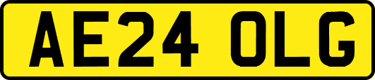 AE24OLG