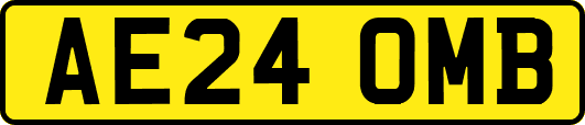 AE24OMB