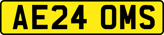 AE24OMS