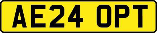 AE24OPT