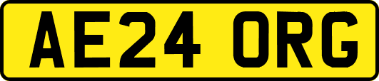 AE24ORG