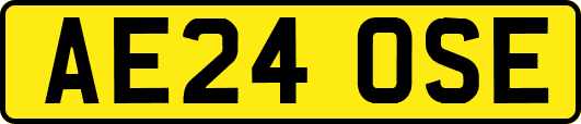 AE24OSE