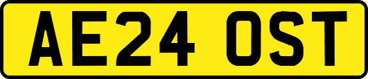 AE24OST