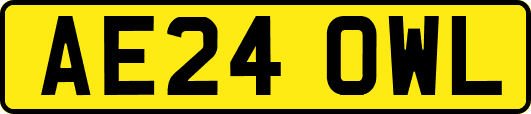 AE24OWL